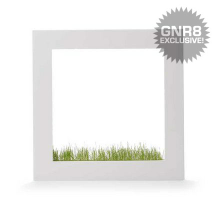 Picture Planter