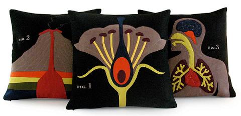 Science Project Pillows