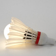 Birdie Light