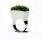 Growing Ring