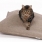 Cat's in Style