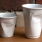 Crinkle Cup