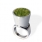 Growing Ring