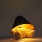 Teddy Bear Lamp