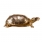 Turtle Box