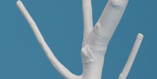Ghost Tree Coat Rack