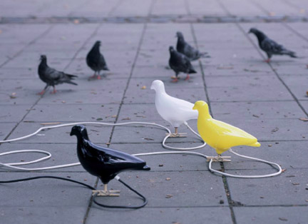 Pigeon Light