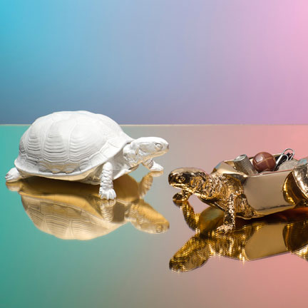 Turtle Box