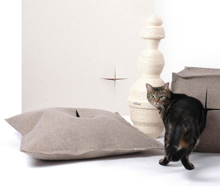 Cat's in Style