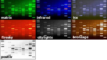 Modern Lighting, Furniture and Home Accessories at Generate : wall light light art dna