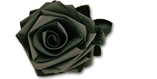 Ballistic Rose