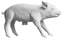 Pig Bank