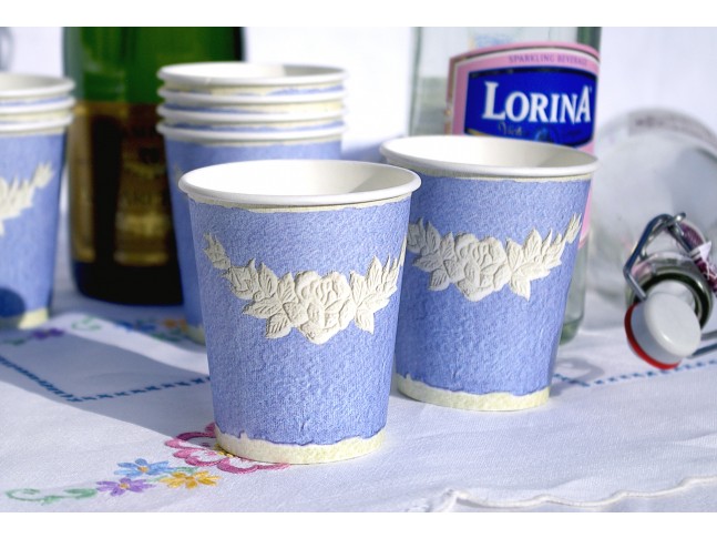 Finest Paperware Disposable Cups