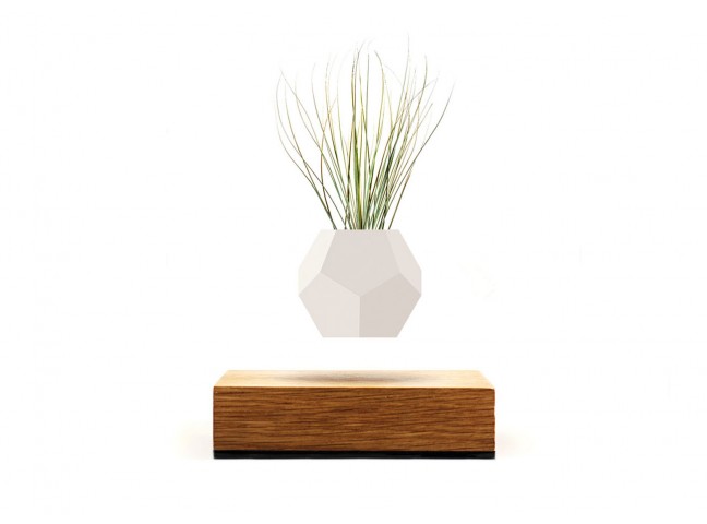 Lyfe Planter