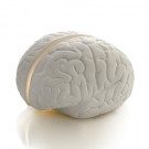 Brainstorm Table Lamp