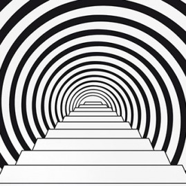 Down the Rabbit Hole Wallpaper