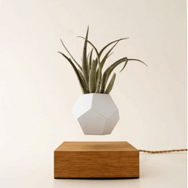 Lyfe Planter