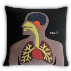 Science Project Pillows