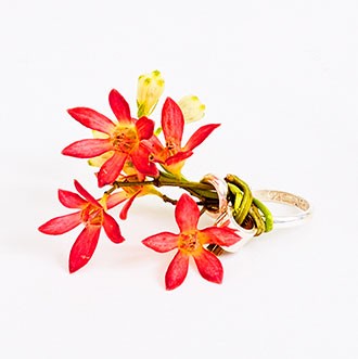 Ikebana Ring