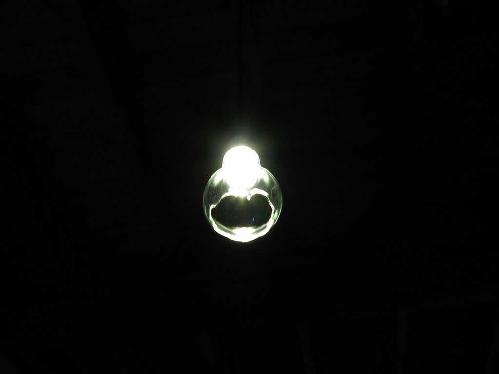 Ceci Lamp