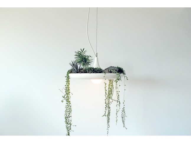 Babylon Light