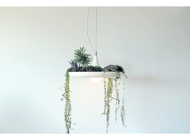 Babylon Light