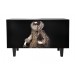 Elizabeth Cabinet