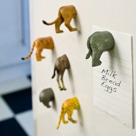 Animal Butt Magnets Jungle