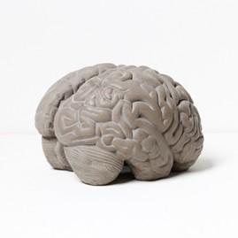 Grey Matter Bookends