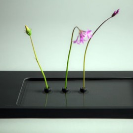 Reflection Vase