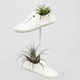 Shoe Planter
