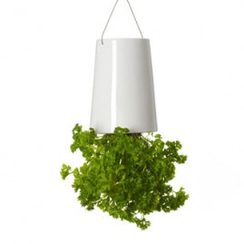 Sky Planter