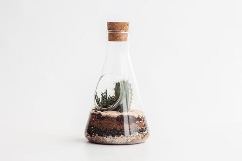 Chemistry Terrarium Kit